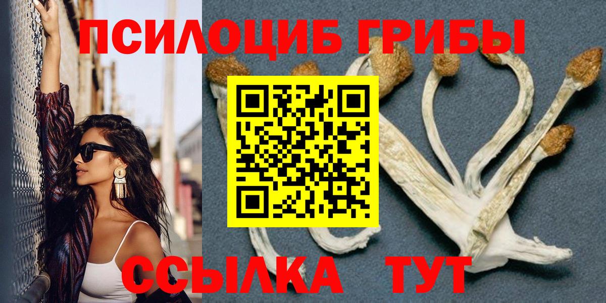 Галлюциногенные грибы мицелий  Вход с VPN  Тула 